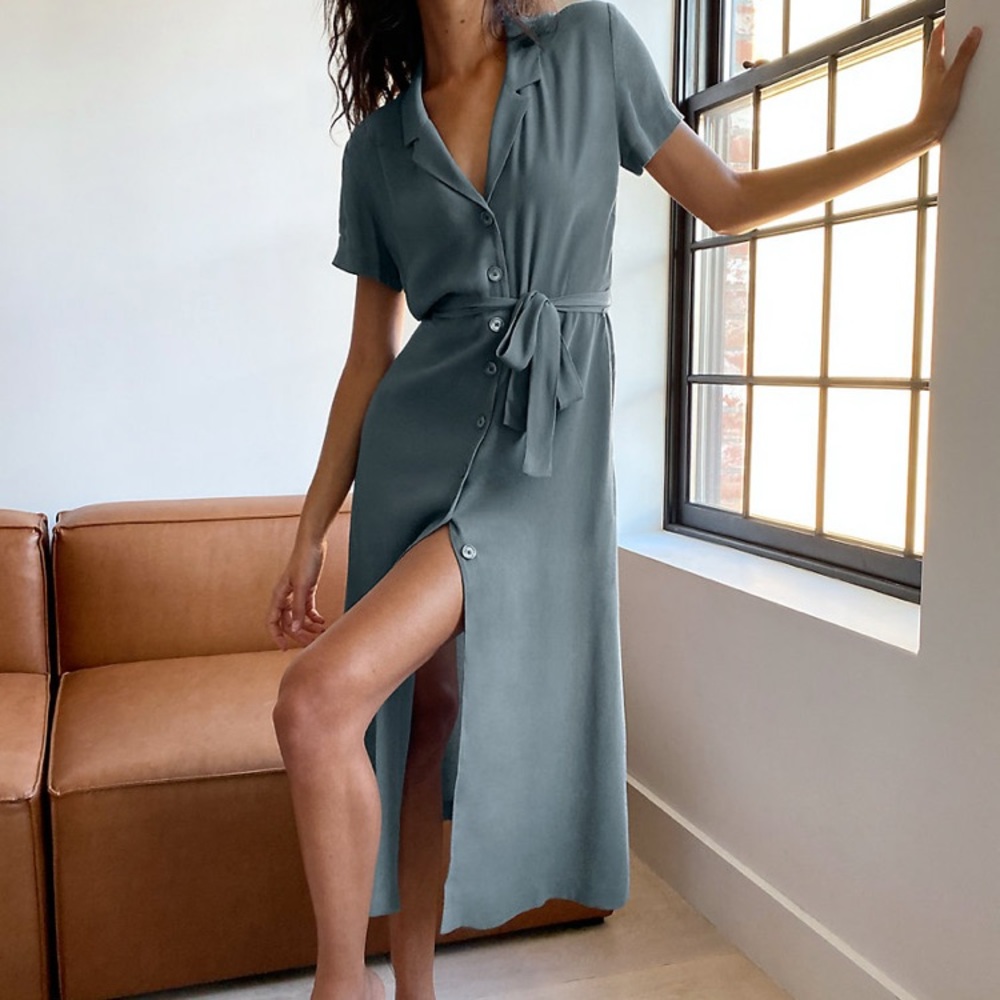 Aritzia Blue Midi Dress